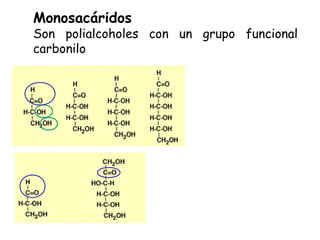 Monosacáridos
Son polialcoholes con un grupo funcional
carbonilo
 