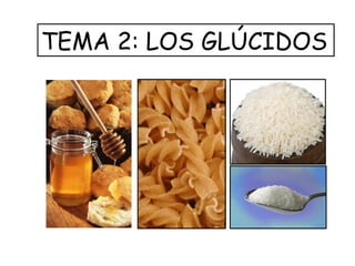 TEMA 2: LOS GLÚCIDOS
 