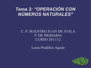 C. P. MAESTRO JUAN DE ÁVILA 5º DE PRIMARIA CURSO 2011/12 Lucía Pradillos Agudo Tema 2: “OPERACIÓN CON NÚMEROS NATURALES&quot; 