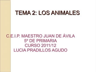 TEMA 2: LOS ANIMALES C.E.I.P. MAESTRO JUAN DE ÁVILA 5º DE PRIMARIA CURSO 2011/12 LUCIA PRADILLOS AGUDO 