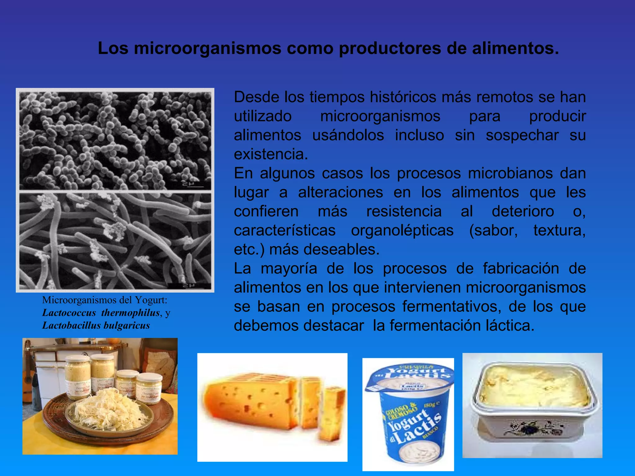 Tema 2 microbiologia de los alimentos | PPT