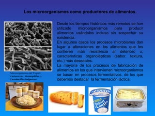 Tema 2 microbiologia de los alimentos | PPT