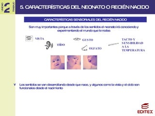Los sentidos se van desarrollando desde que nace, y algunos como la vista y el oído son funcionales desde el nacimiento  CARACTERÍSTICAS SENSORIALES DEL RECIÉN NACIDO OÍDO VISTA OLFATO TACTO Y  SENSIBILIDAD  A LA TEMPERATURA  Son muy importantes porque a través de los sentidos el neonato irá conociendo y experimentando el mundo que le rodea GUSTO 5. CARACTERÍSTICAS DEL NEONATO O RECIÉN NACIDO 