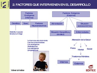 Factores  Endógenos (Internos) Factores  Exógenos (Externos) Genética Sexo Factores Neuroendocrinos Alimentación Situación Geográfica y climática  Situación socioeconómica Enfermedades Distrofia muscular Síndrome X frágil La hormona del crecimiento Las hormonas tiroideas Los andrógenos (testosterona) Los estrógenos (progesterona) Alteración de la Salud Física Social Mental Trastornos Mentales Externos Internos 2. FACTORES QUE INTERVIENEN EN EL DESARROLLO Volver al índice 