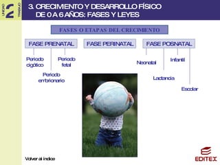 FASES O ETAPAS DEL CRECIMIENTO FASE PRENATAL FASE PERINATAL FASE POSNATAL Periodo cigótico Periodo embrionario Periodo fetal Neonatal Lactancia Infantil Escolar 3. CRECIMIENTO Y DESARROLLO FÍSICO  DE 0 A 6 AÑOS: FASES Y LEYES Volver al índice 