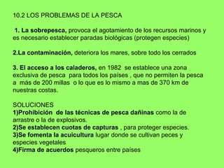 10.2 LOS PROBLEMAS DE LA PESCA
1. La sobrepesca, provoca el agotamiento de los recursos marinos y
es necesario establecer paradas biológicas (protegen especies)
2.La contaminación, deteriora los mares, sobre todo los cerrados
3. El acceso a los caladeros, en 1982 se establece una zona
exclusiva de pesca para todos los países , que no permiten la pesca
a más de 200 millas o lo que es lo mismo a mas de 370 km de
nuestras costas.
SOLUCIONES
1)Prohibición de las técnicas de pesca dañinas como la de
arrastre o la de explosivos.
2)Se establecen cuotas de capturas , para proteger especies.
3)Se fomenta la acuicultura lugar donde se cultivan peces y
especies vegetales
4)Firma de acuerdos pesqueros entre países
 