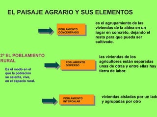 EL PAISAJE AGRARIO Y SUS ELEMENTOS
2º EL POBLAMIENTO
RURAL
POBLAMIENTO
CONCENTRADO
es el agrupamiento de las
viviendas de la aldea en un
lugar en concreto, dejando el
resto para que pueda ser
cultivado.
las viviendas de los
agricultores están separadas
unas de otras y entre ellas hay
tierra de labor.
viviendas aisladas por un lado
y agrupadas por otro
POBLAMIENTO
INTERCALAR
POBLAMIENTO
DISPERSO
Es el modo en el
que la población
se asienta, vive,
en el espacio rural.
 