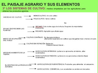 EL PAISAJE AGRARIO Y SUS ELEMENTOS
3º LOS SISTEMAS DE CULTIVO: medios empelados por los agricultores para
obtener los productos agrarios
No
 