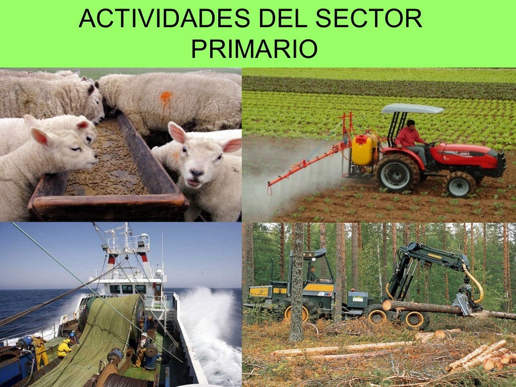 Tema 2 El Sector Primario Tema 2 El Sector Primario