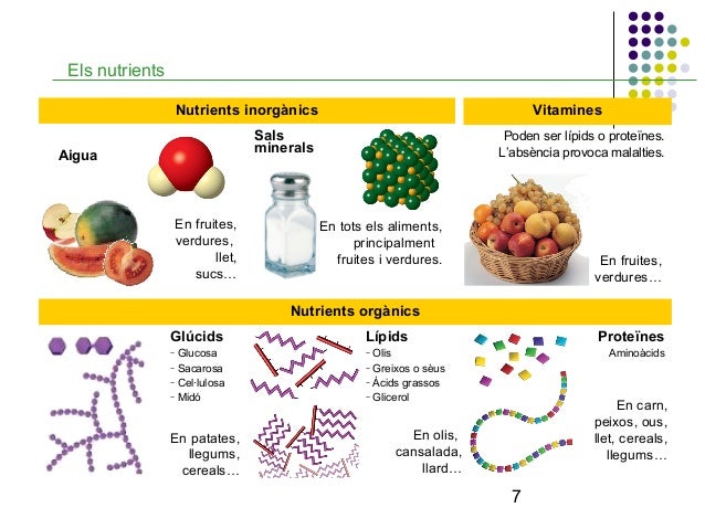 Food Vitamins And Minerals List Food Vitamins And Minerals List