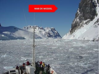 MAR DE WEDDELMAR DE WEDDEL
 