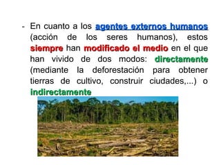 - En cuanto a los agentes externos humanosagentes externos humanos
(acción de los seres humanos), estos
siempresiempre han modificado el mediomodificado el medio en el que
han vivido de dos modos: directamentedirectamente
(mediante la deforestación para obtener
tierras de cultivo, construir ciudades,...) o
indirectamenteindirectamente
 
