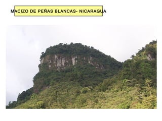 MACIZO DE PEÑAS BLANCAS- NICARAGUA
 