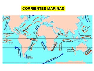 CORRIENTES MARINAS
 