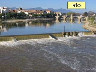 RÍORÍO
 