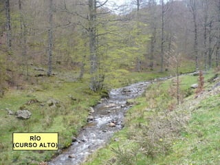 RÍORÍO
(CURSO ALTO)(CURSO ALTO)
 