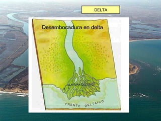 DELTA
 