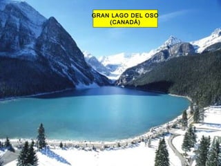 GRAN LAGO DEL OSO
(CANADÁ)
 