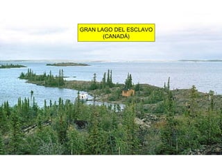 GRAN LAGO DEL ESCLAVO
(CANADÁ)
 