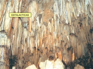 ESTALACTICAS
 