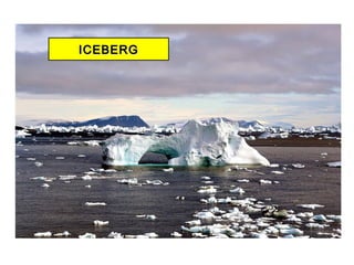 ICEBERGICEBERG
 