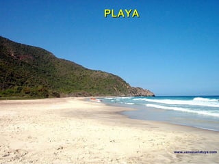 PLAYAPLAYA
 
