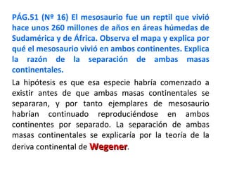 PÁG.51 (Nº 16) El mesosaurio fue un reptil que vivió
hace unos 260 millones de años en áreas húmedas de
Sudamérica y de África. Observa el mapa y explica por
qué el mesosaurio vivió en ambos continentes. Explica
la razón de la separación de ambas masas
continentales.
La hipótesis es que esa especie habría comenzado a
existir antes de que ambas masas continentales se
separaran, y por tanto ejemplares de mesosaurio
habrían continuado reproduciéndose en ambos
continentes por separado. La separación de ambas
masas continentales se explicaría por la teoría de la
deriva continental de WegenerWegener.
 