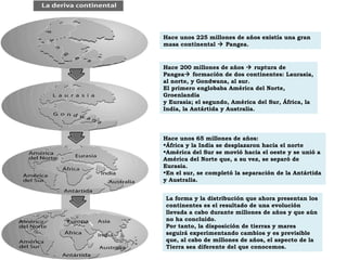 Hace unos 225 millones de años existía una gran
masa continental  Pangea.
Hace 200 millones de años  ruptura de
Pangea formación de dos continentes: Laurasia,
al norte, y Gondwana, al sur.
El primero englobaba América del Norte,
Groenlandia
y Eurasia; el segundo, América del Sur, África, la
India, la Antártida y Australia.
Hace unos 65 millones de años:
•África y la India se desplazaron hacia el norte
•América del Sur se movió hacia el oeste y se unió a
América del Norte que, a su vez, se separó de
Eurasia.
•En el sur, se completó la separación de la Antártida
y Australia.
La forma y la distribución que ahora presentan los
continentes es el resultado de una evolución
llevada a cabo durante millones de años y que aún
no ha concluido.
Por tanto, la disposición de tierras y mares
seguirá experimentando cambios y es previsible
que, al cabo de millones de años, el aspecto de la
Tierra sea diferente del que conocemos.
 