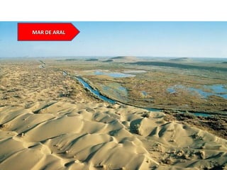 MAR DE ARALMAR DE ARAL
 