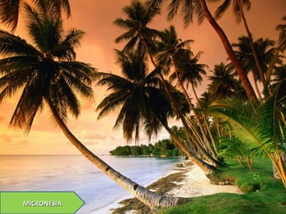 MICRONESIAMICRONESIA
 