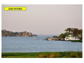 LAGO VICTORIALAGO VICTORIA
 
