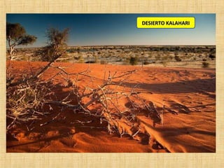 DESIERTO KALAHARIDESIERTO KALAHARI
 