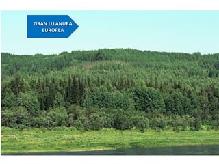 GRAN LLLANURAGRAN LLLANURA
EUROPEAEUROPEA
 