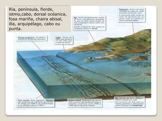 Ría, península, fiorde,
istmo,cabo, dorsal océanica,
fosa mariña, chaira abisal,
illa, arquipélago, cabo ou
punta.
 