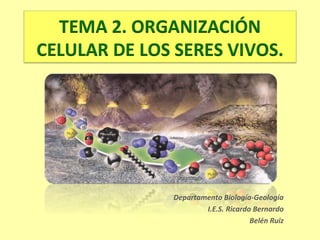 Departamento Biología-Geología
I.E.S. Ricardo Bernardo
Belén Ruiz

 