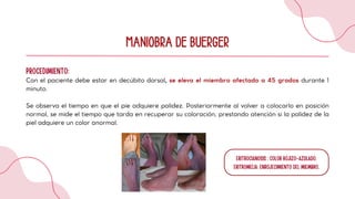 Buerger Color Insuficiencia periferica y tombosis venosa.pdf