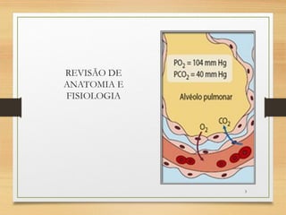 REVISÃO DE
ANATOMIA E
FISIOLOGIA
3
 