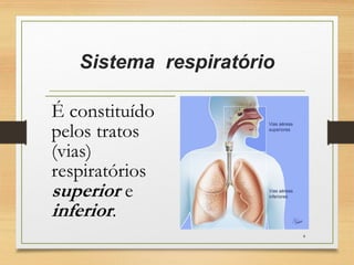 Sistema respiratório
4
 