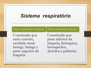 Sistema respiratório
5
 
