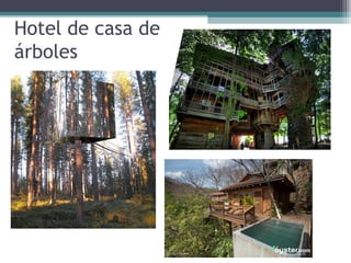 Hotel de casa de
árboles
 