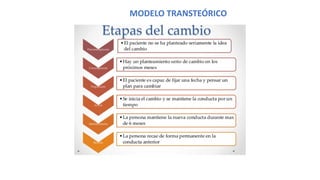 MODELO TRANSTEÓRICO
 