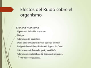 Efectos del Ruido sobre el
organismo
 
