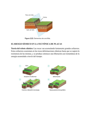 EL RIESGO SÍSMICO EN LA TECTÓNICA DE PLACAS
Teoría del rebote elástico: Las rocas van acumulando lentamente grandes esfuerzos.
Estos esfuerzos ocasionan en las rocas deformaciones elásticas hasta que se supera la
resistencia de las mismas, y se produce entonces una liberación casi instantánea de la
energía acumulada a través del tiempo.
 