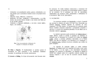 TEMA 2 PROTOZOOS - MEDICO VETERINARIO ALAN ATORA.docx
