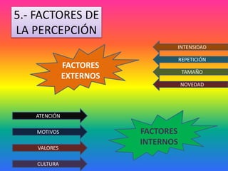 5.- FACTORES DE
LA PERCEPCIÓN
MOTIVOS
VALORES
CULTURA
ATENCIÓN
INTENSIDAD
REPETICIÓN
TAMAÑO
FACTORES
EXTERNOS
FACTORES
INTERNOS
NOVEDAD
 