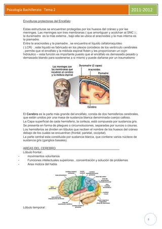 Psicología Bachillerato Tema 2                                                               2011-2012

           Envolturas protectoras del Encéfalo

           Estas estructuras se encuentran protegidas por los huesos del cráneo y por las
           meninges. Las meninges son tres membranas ( que amortiguan y acolchan al SNC ) ;
           la duramadre es la más externa , bajo ella se ubica el aracnoides y la mas interna es
           la piamadre.
           Entre la aracnoides y la piamadre , se encuentra el líquido cefalorraquídeo
           ( LCR) ; este líquido es fabricado en los plexos coroideos de los ventrículo cerebrales
           , permite que el encéfalo y la médula espinal floten y les proporcionan un cojín
           hidráulico – esta función es importante puesto que el encéfalo es demasiado pesado y
           demasiado blando para sostenerse a si mismo y puede dañarse por un traumatismo




           El Cerebro es la parte más grande del encéfalo, consta de dos hemisferios cerebrales,
           que están unidos por una masa de sustancia blanca denominada cuerpo calloso.
           La Capa superficial de cada hemisferio, la corteza, está compuesta por sustancia gris.
           Se presenta en forma de pliegues o circunvoluciones, separadas por surcos o cisuras.
           Los hemisferios se dividen en lóbulos que reciben el nombre de los huesos del cráneo
           debajo de los cuales se encuentran (frontal, parietal, occipital).
           La parte central esta constituida por sustancia blanca, que contiene varios núcleos de
           sustancia gris (ganglios basales).

           AREAS DEL CEREBRO
           Lóbulo frontal :
       -      movimientos voluntarios
       -      Funciones intelectuales superiores , concentración y solución de problemas
       -      Area motora del habla




           Lóbulo temporal :


                                                                                                     8
 