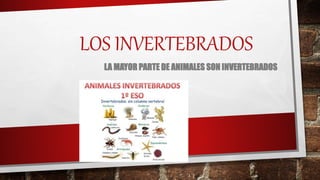 LOS INVERTEBRADOS
LA MAYOR PARTE DE ANIMALES SON INVERTEBRADOS
 