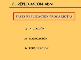 2. REPLICACIÓN ADN


 FASES REPLICACIÓN PROCARIOTAS


     1) INICIACIÓN


     3) ELONGACIÓN


     5) TERMINACIÓN
 