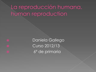    Daniela Gallego
   Curso 2012/13
   6º de primaria
 