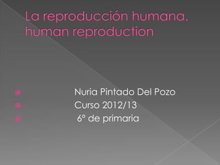    Nuria Pintado Del Pozo
   Curso 2012/13
   6º de primaria
 